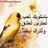 mbabs95