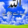 chshabbir95