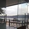 salim_salimee