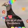 luisarturorodrigu89