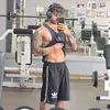 dylanmusso
