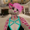 pollysweetpaw1