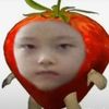 rhizobuim