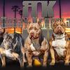 bossykennels