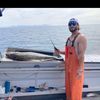 trevoriodence