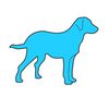 bluedogslacrosse