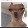 jacobconway60