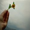roy_ree1