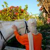 emansaad2_8