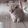 uwuboo_721