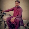 alijanalijan7862