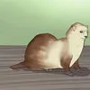cathaarsis