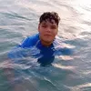 usero6svgw14en