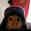 gato_comunista2.0