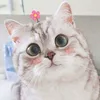 nguyenai_0902