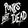 punk.is.not.dead