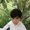 hashe069l