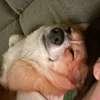 nanbts22
