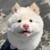 suatuoikhongduong96