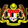 zizulana17