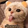 nongmeow1