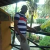 belpereira685