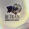bitranbetta