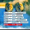 azik949494