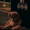 nazli7_2025