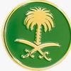 mohamadali6610