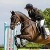 my_jumping_warmblood