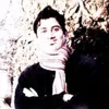 rashidparacha62