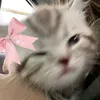 user_109384847587