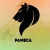 pameca16