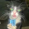 _ormeee_
