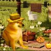 pelmen206bit