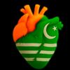 saimkhan0633