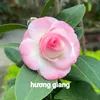 hng.giang71207