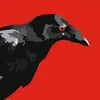 crow930504