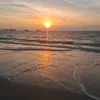 brando....sc