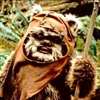 ewoks0117