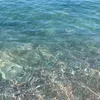 haris_009123