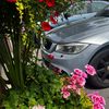 e90_truly
