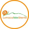 lumacabiosirente