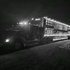 208trucker2
