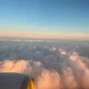 mna_c