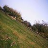 user3616386163730