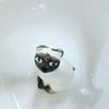furball412