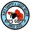 AJI'S GUPPY