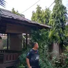 dawwong